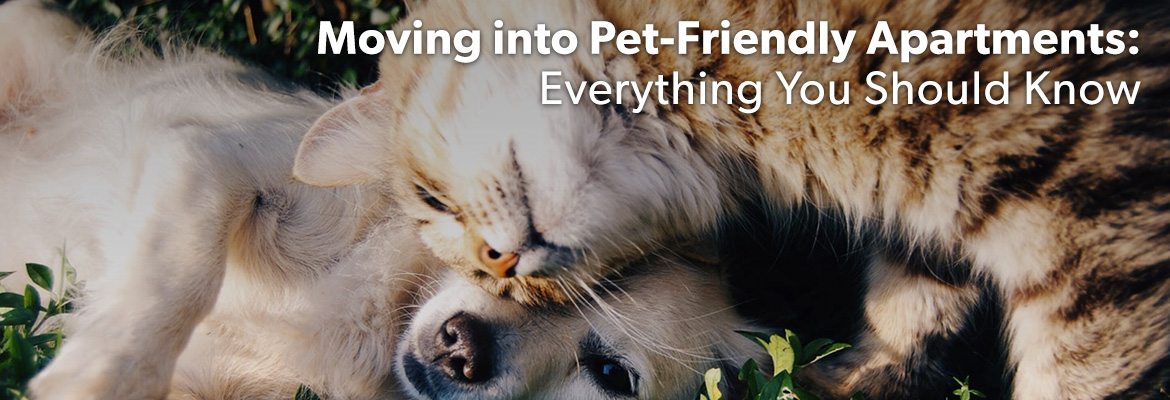 Moving into Pet-Friendly Apartments: Everything You Should Know
