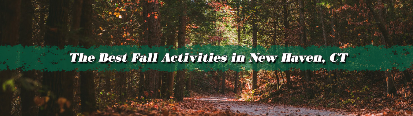 The Best Fall Activities in New Haven, CT