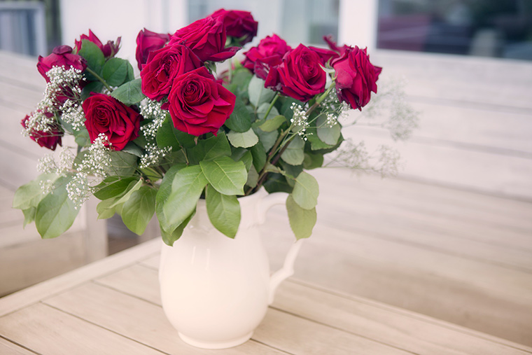 Red roses in a white ceramic vase.